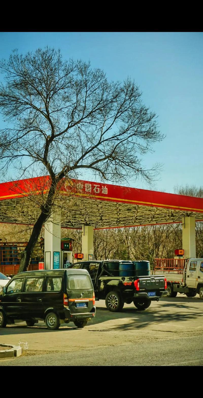 中石油股价为什么跌跌不休-中石油股价为什么涨不上去