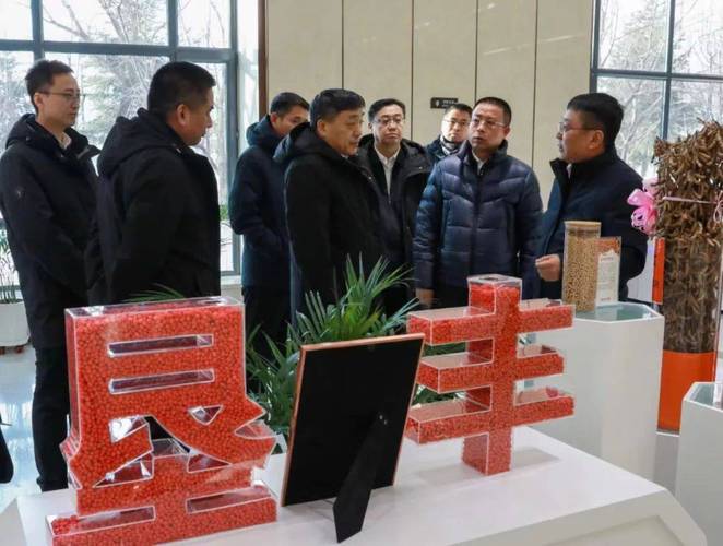 垦丰种业有几家子公司/垦丰种业有哪三个分公司