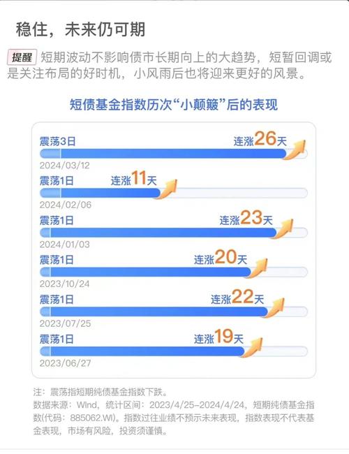超短债是什么-第2张图片 超短债是什么-第2张图片
