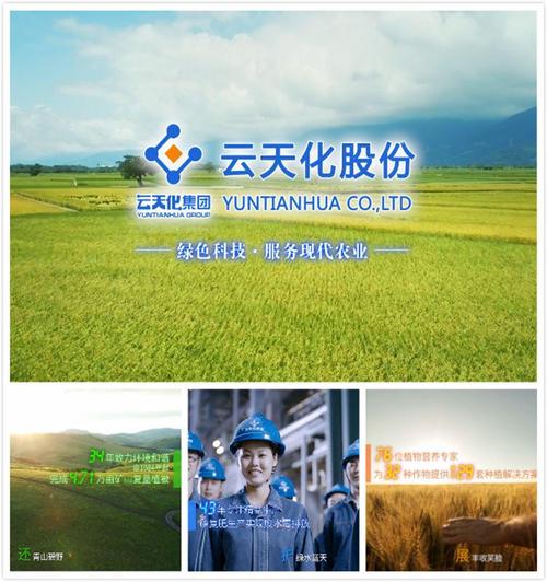 云天化资金流向/云天化资产注入-第2张图片 云天化资金流向/云天化资产注入-第2张图片