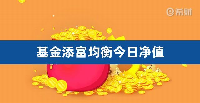 添富均衡基金如何/添富均衡基金多少钱-第1张图片 添富均衡基金如何/添富均衡基金多少钱-第1张图片