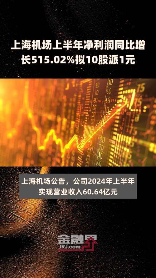 上海机场股未来发展有多大-第1张图片 上海机场股未来发展有多大-第1张图片