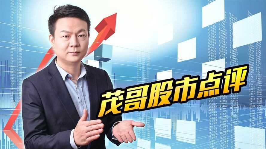 大智慧行情/大智慧行情登录不上去了