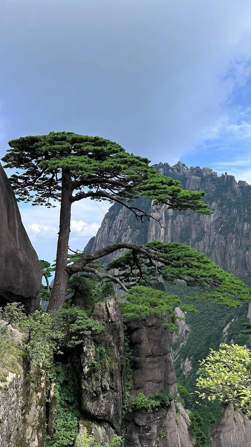 黄山主要景点有哪些-黄山主要景点有哪些图片
