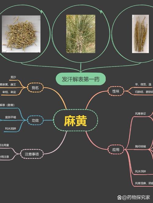 第一医药是什么板块/第一医药全称-第1张图片 第一医药是什么板块/第一医药全称-第1张图片
