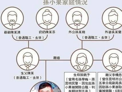 孙小果最大的伞什么级别，孙小果保护雨伞