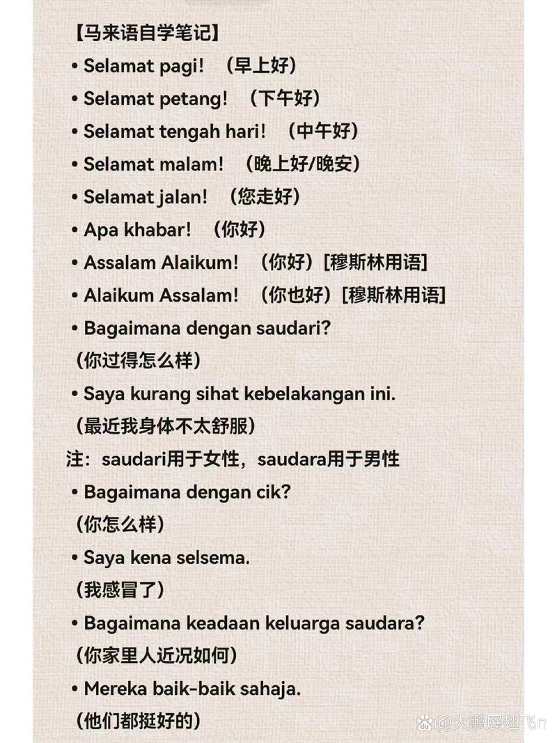 马来西亚很多人会中文吗,马来西亚很多人会说中文吗-第2张图片 马来西亚很多人会中文吗,马来西亚很多人会说中文吗-第2张图片