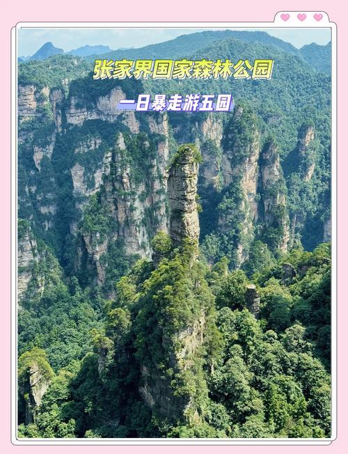 几月去张家界是最佳时间,什么月份去张家界比较好-第2张图片 几月去张家界是最佳时间,什么月份去张家界比较好-第2张图片