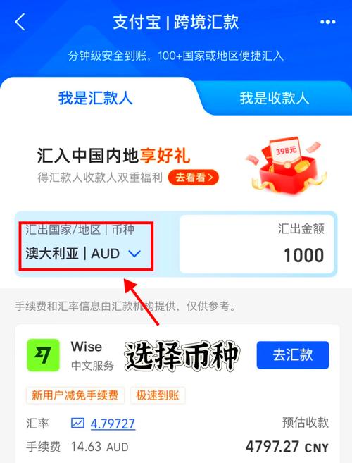 个人怎么收国外的汇款-怎么收国外的钱-第2张图片 个人怎么收国外的汇款-怎么收国外的钱-第2张图片
