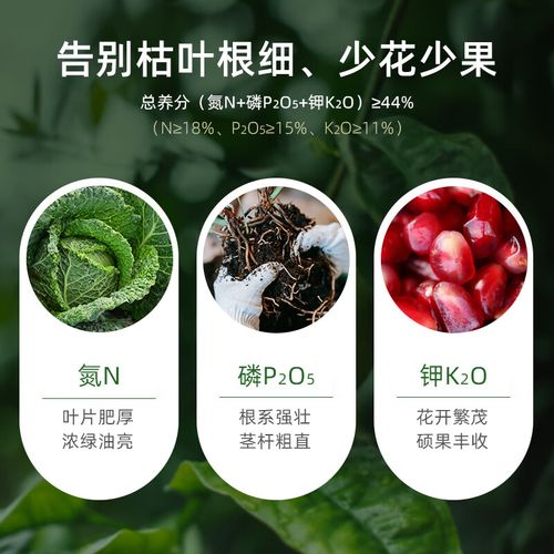 新洋丰复合肥排名/新洋丰复合肥产品-第2张图片 新洋丰复合肥排名/新洋丰复合肥产品-第2张图片