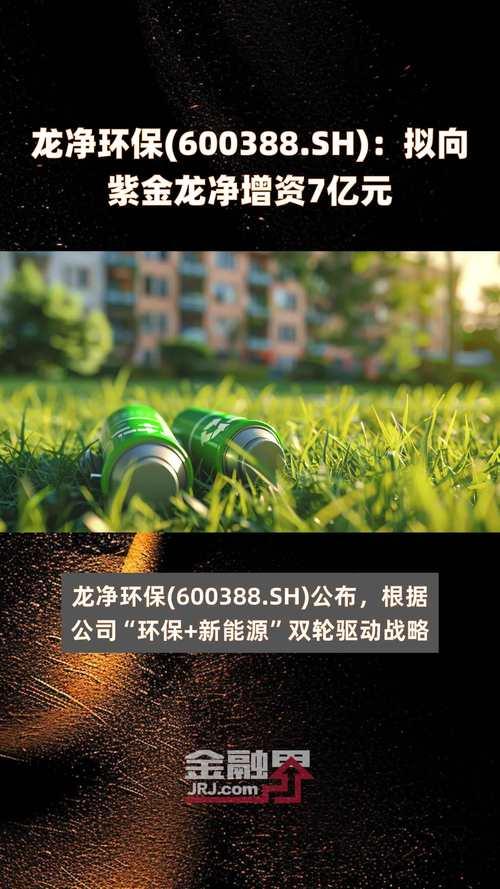 龙净环保是国企还是私企/龙净环保是国企么