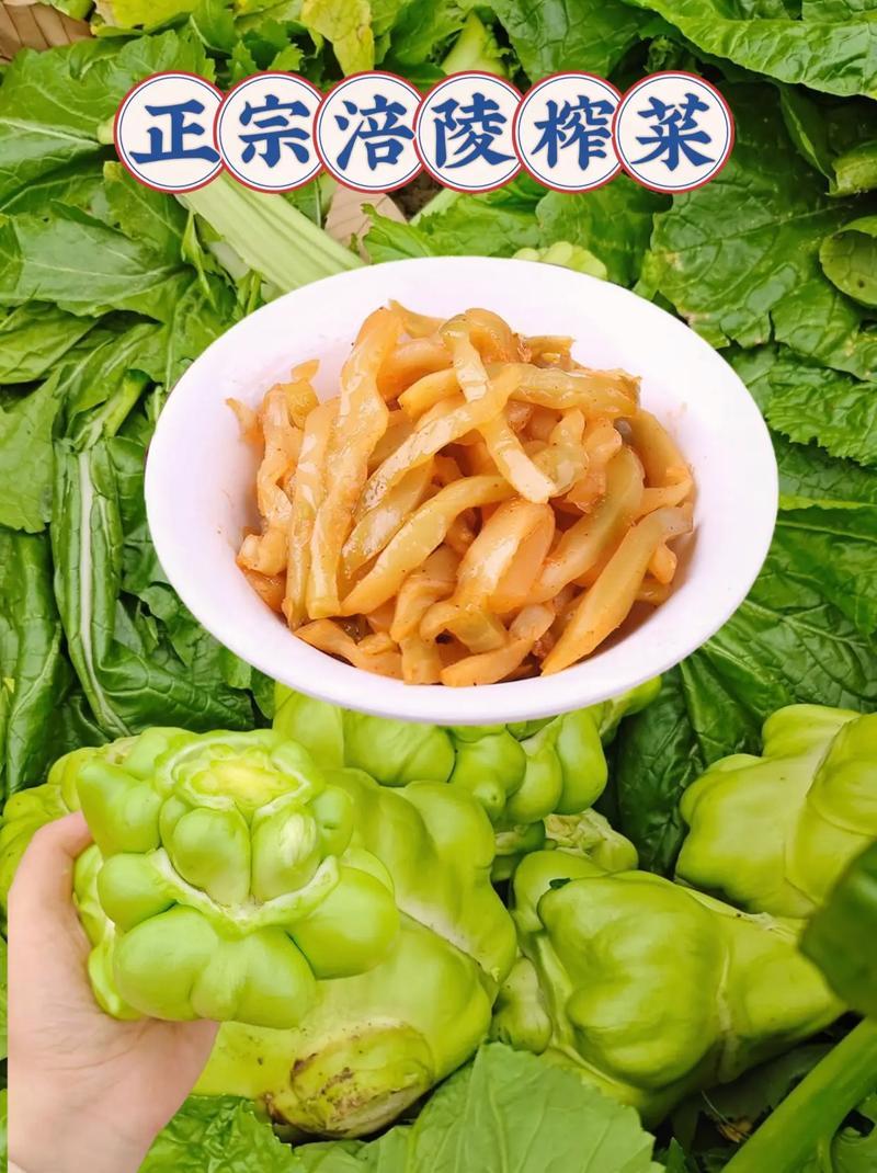 四川涪陵榨菜的腌制方法-涪陵榨菜的制作过程