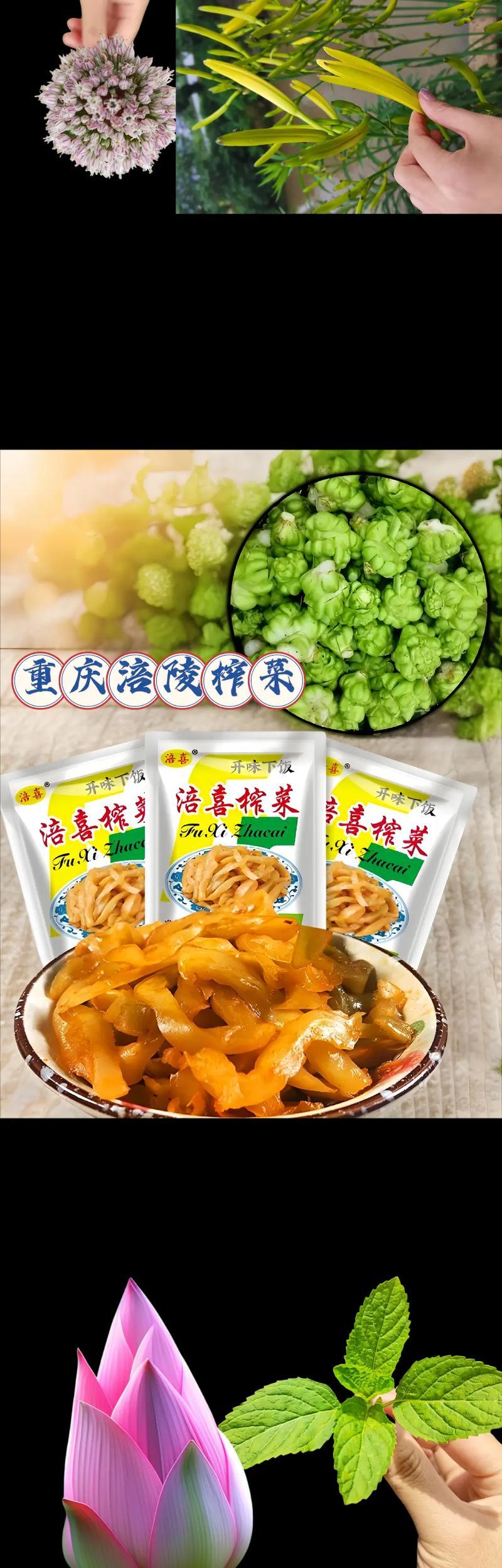 四川涪陵榨菜的腌制方法-涪陵榨菜的制作过程-第2张图片 四川涪陵榨菜的腌制方法-涪陵榨菜的制作过程-第2张图片