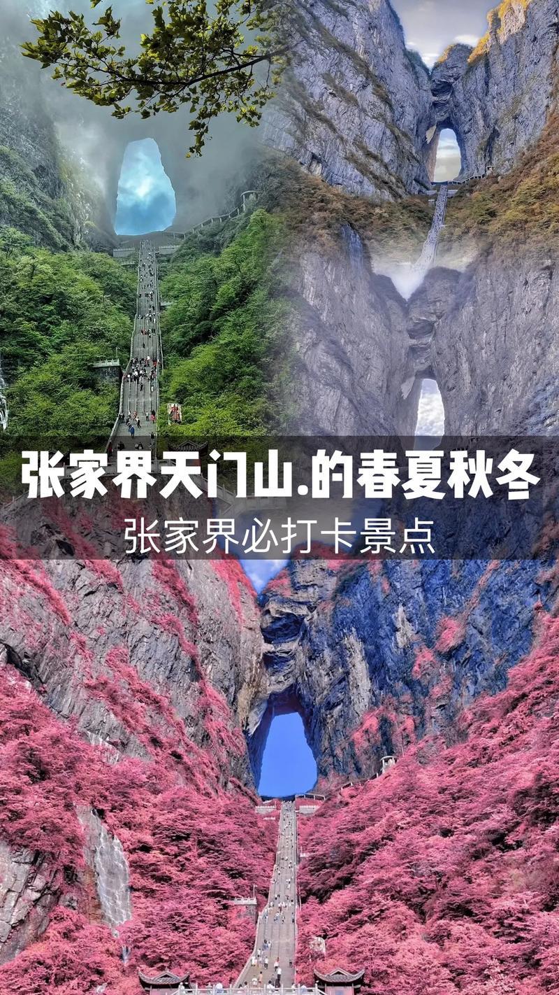自驾张家界旅游必去景区有哪些，自驾张家界旅游攻略自由行三天