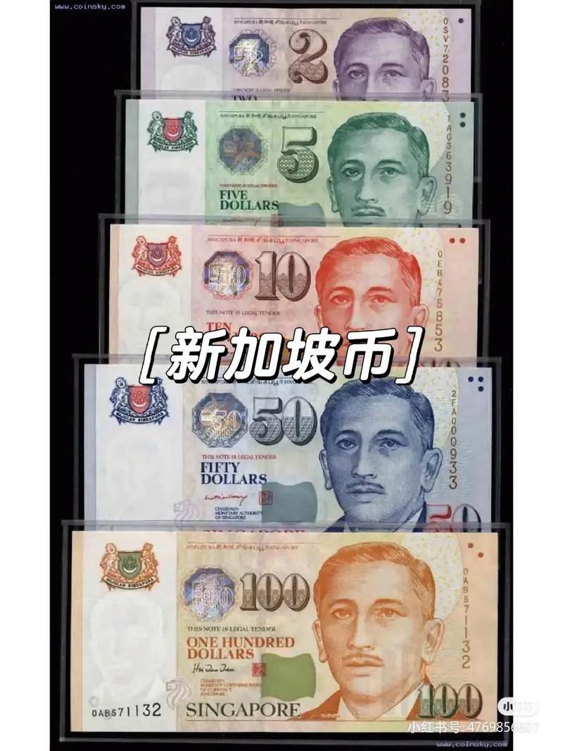 新加坡用哪种币