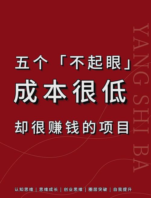 无本钱一个月内赚5万的项目有哪些，一个月赚5万能做什么-第1张图片